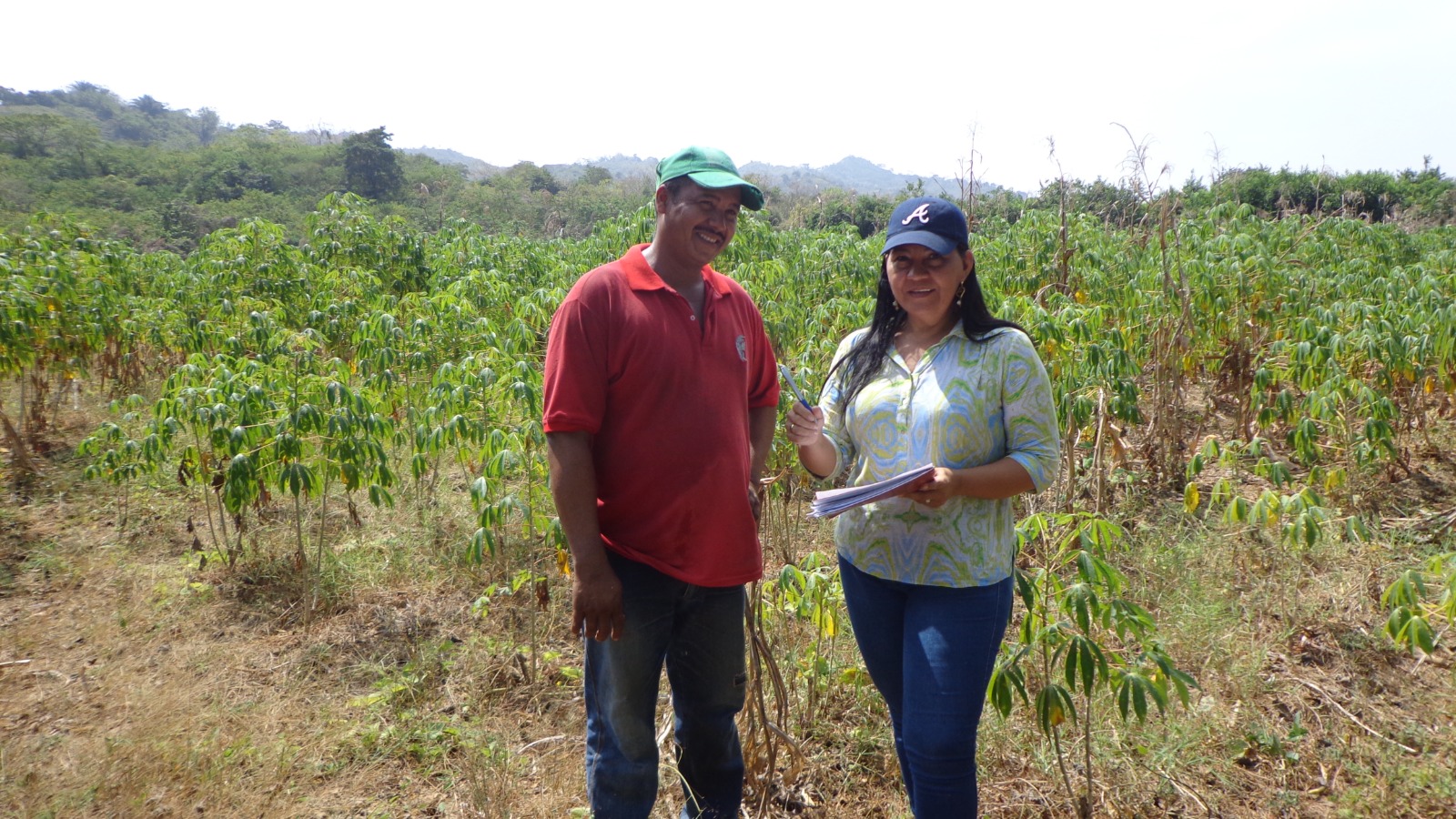 Foto del programa de medio ambiente y sostenibilidad